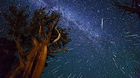 Perseid Meteors over Ancient Bristlecone Pine Forest