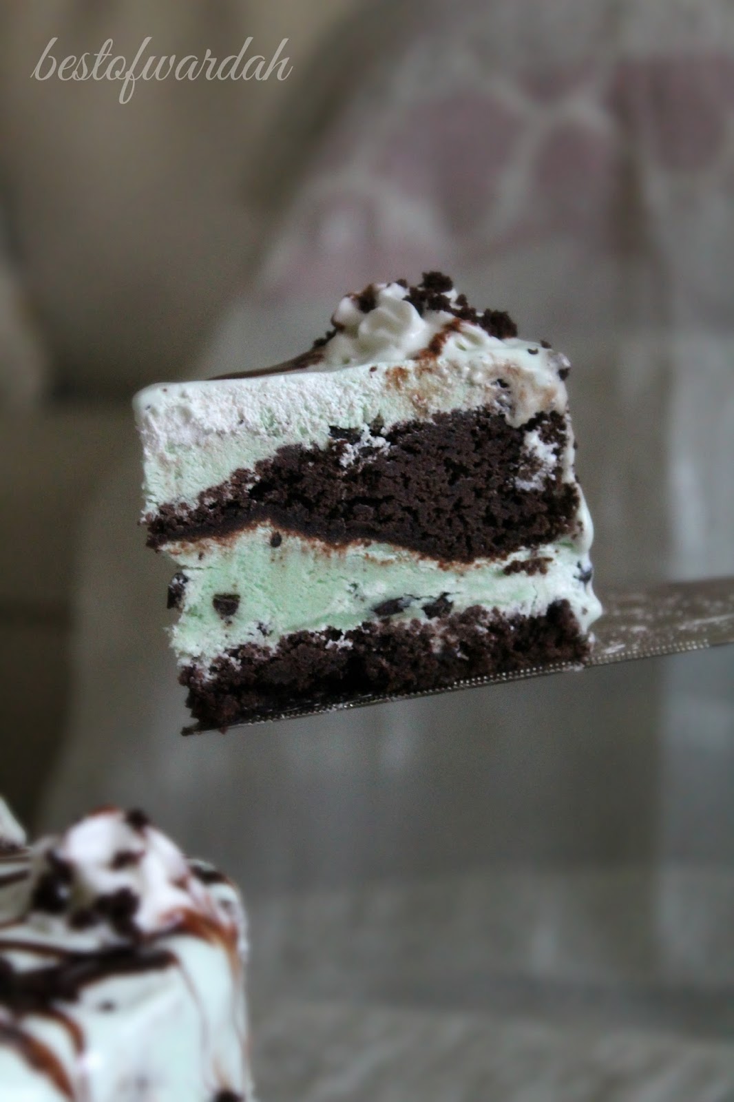 Mint Chocolate Chip Ice Cream Cake Best of Wardah