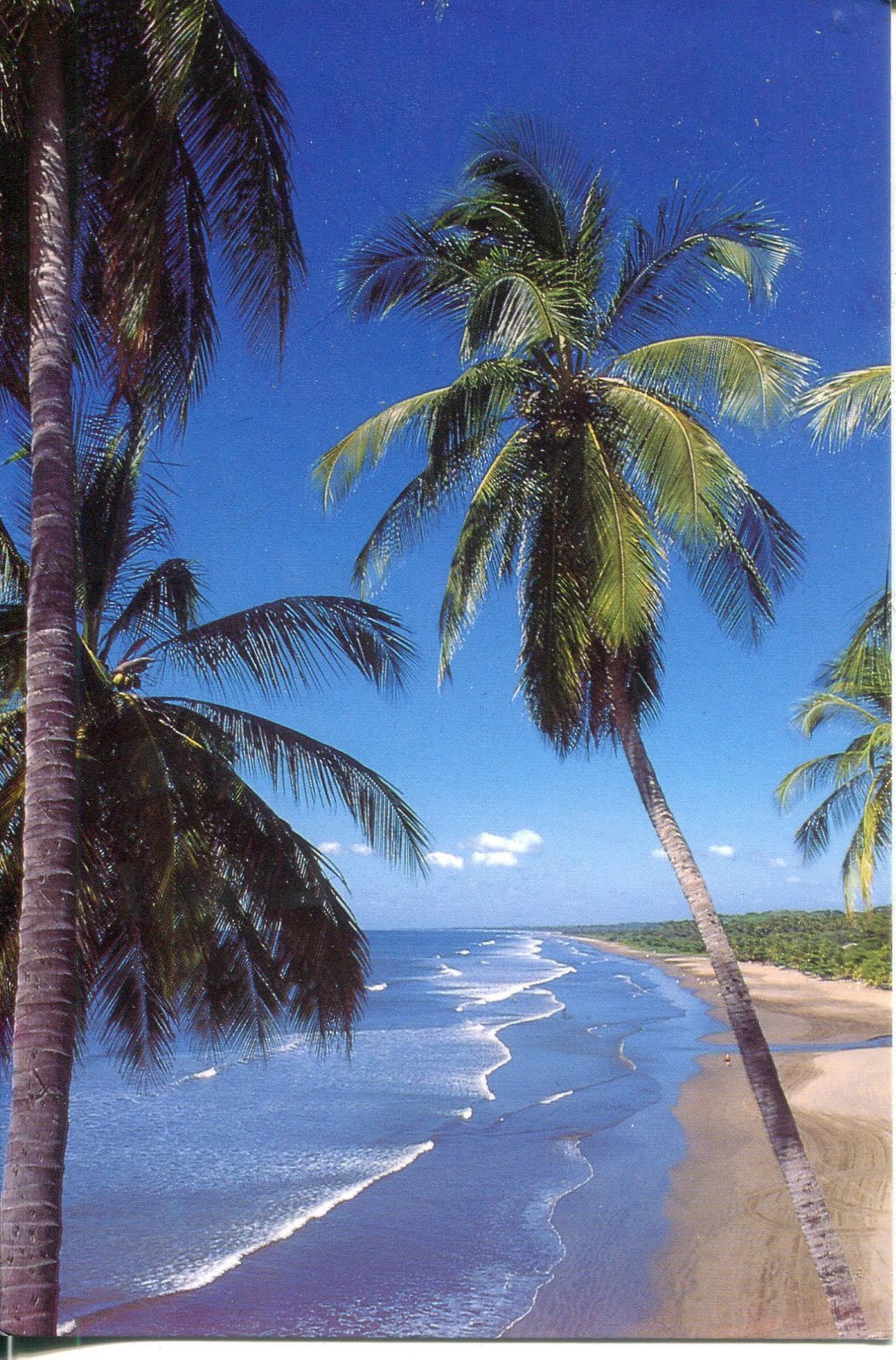collect ROC Nicaragua Postcard Tropical Beachs in West Nicaragua