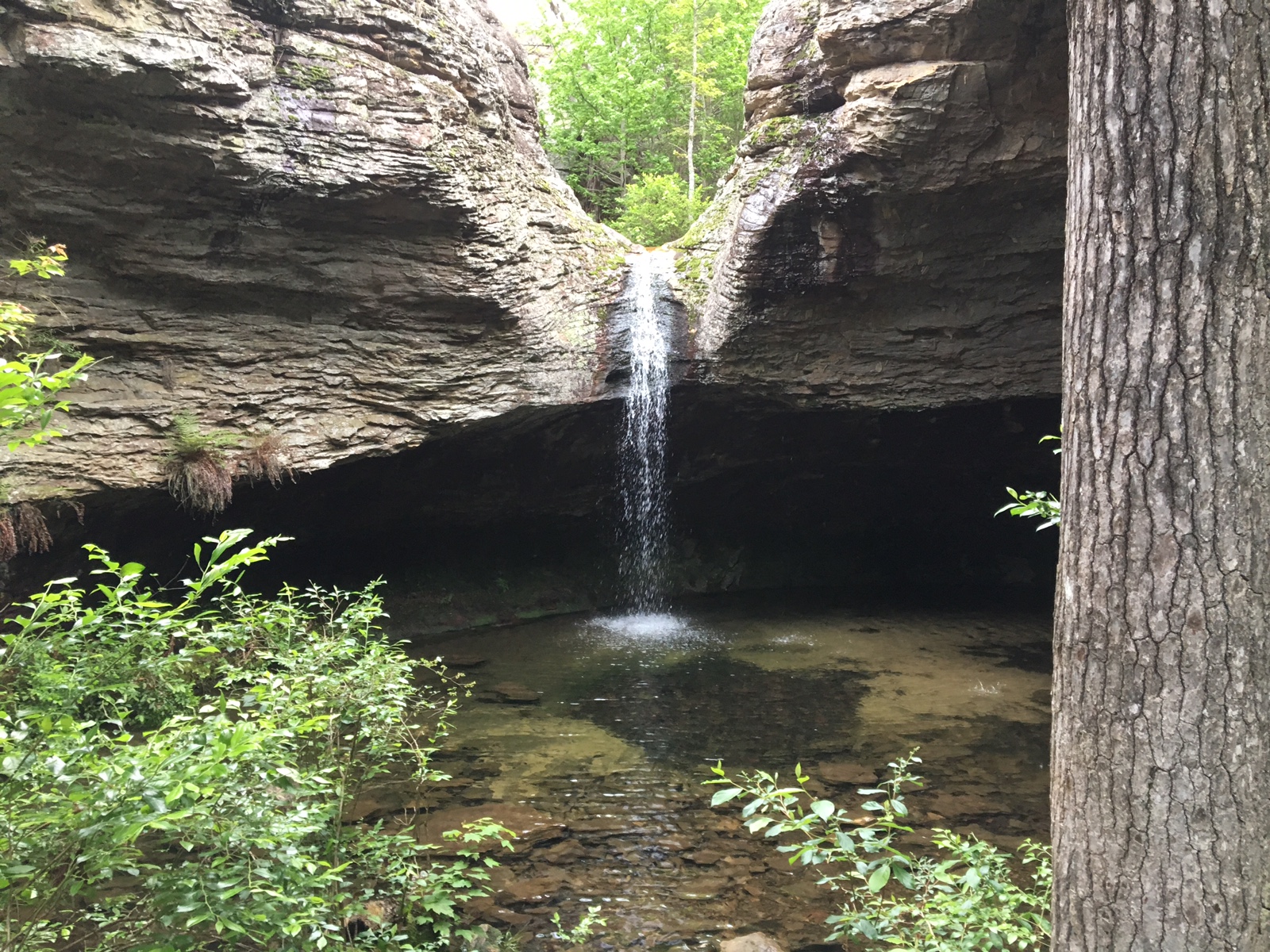 Travels with Starbaby by Mickie Amundson: Petit Jean State Park