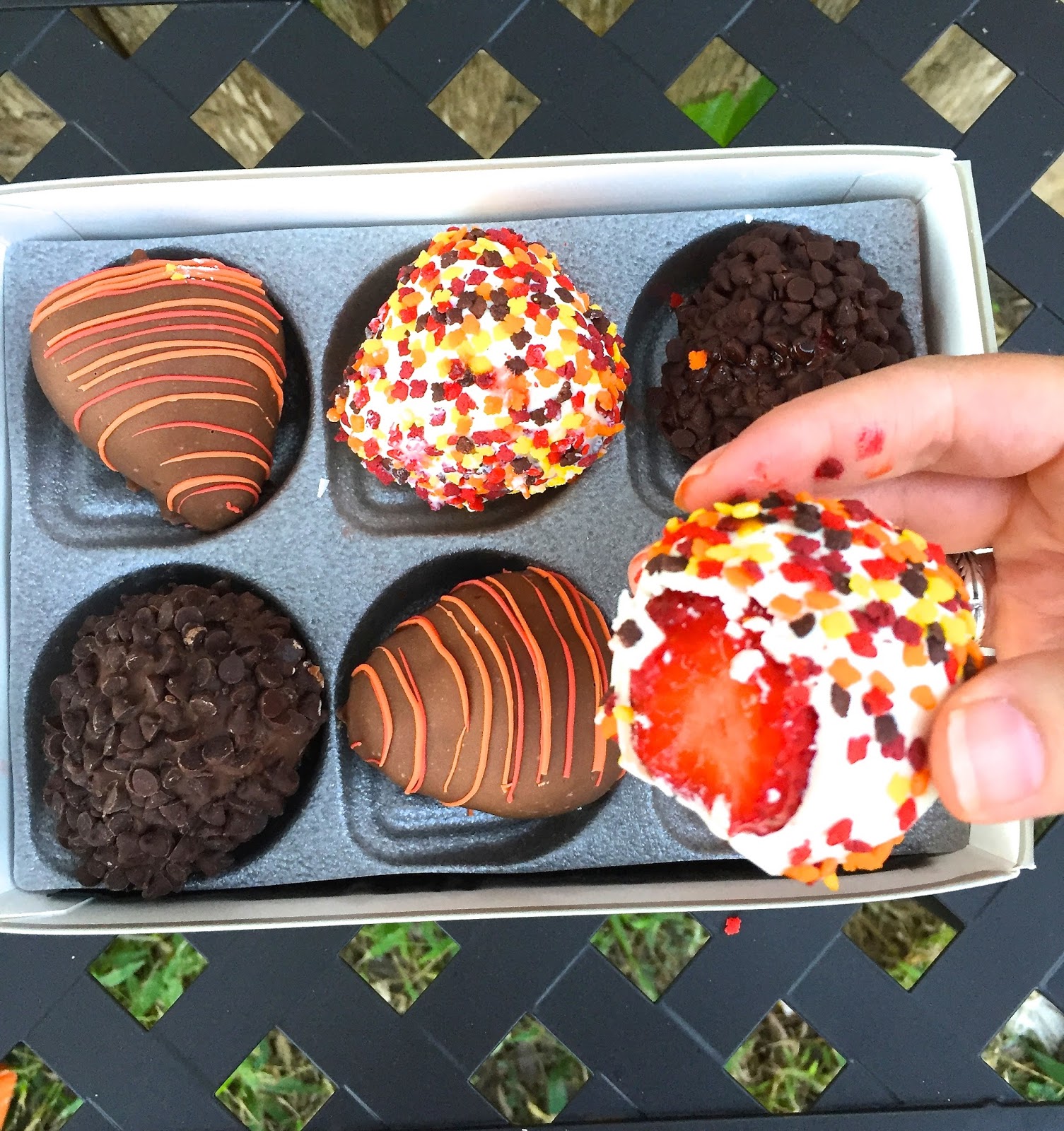 Airing My Laundry, One Post At A Time... Why You Should Give Shari's