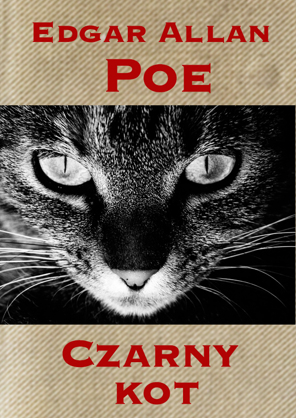 Czarny Kot Edgar Allan Poe Czytam Polecam