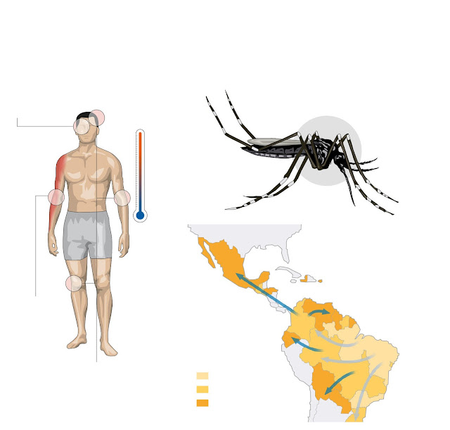 Virus Zika 
