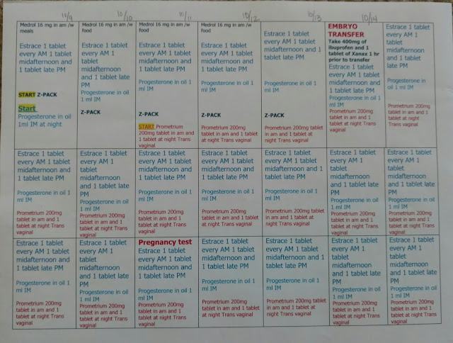 Our journey through IVF and pregnancy : FET Calendar Schedule