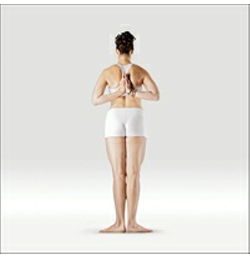 Nasim Rejwan Basic Asanas Of Yoga