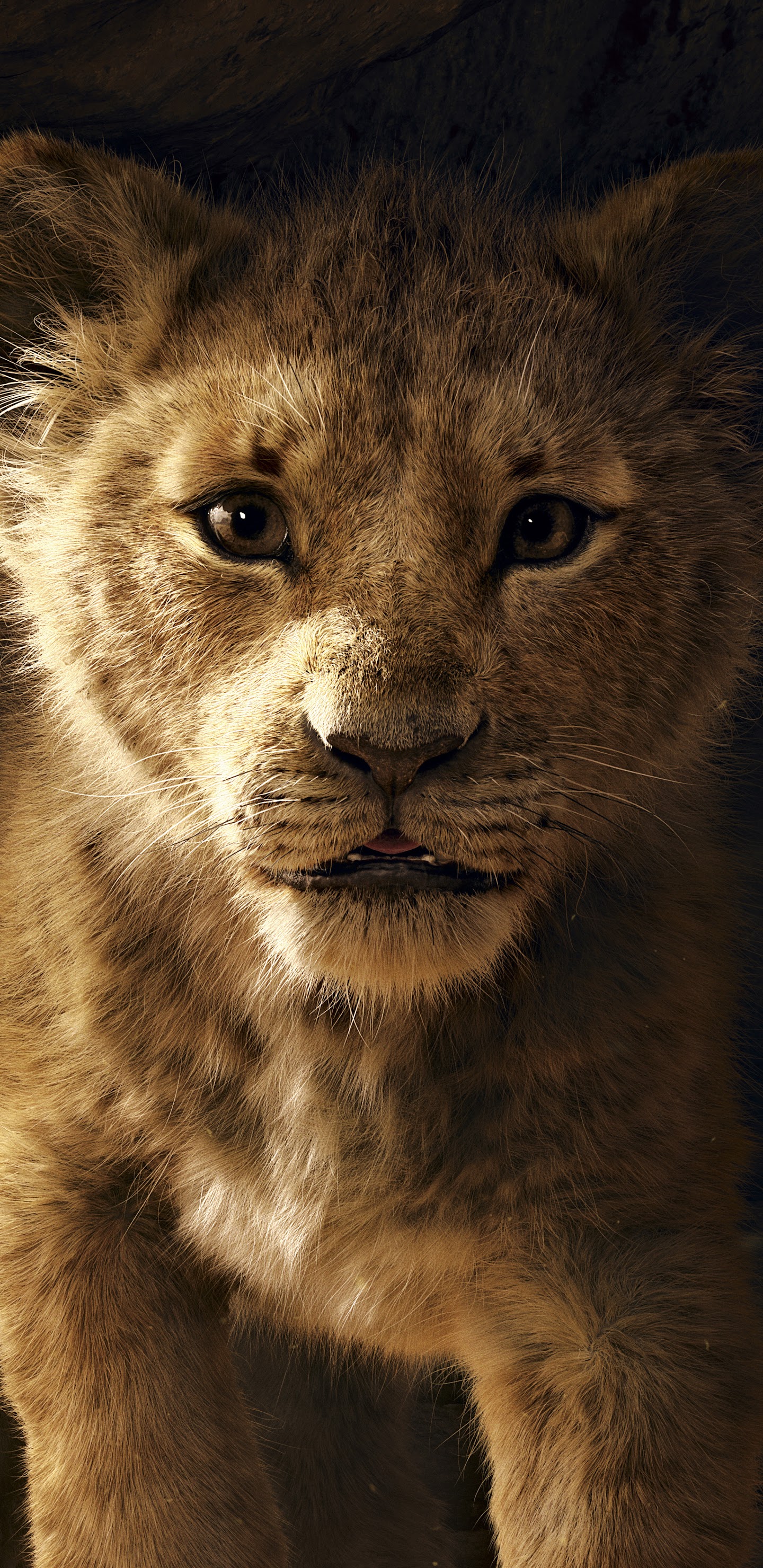 lion king wallpaper