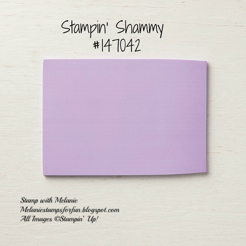 Stamp With Melanie Tool Time Stampin' Shammy