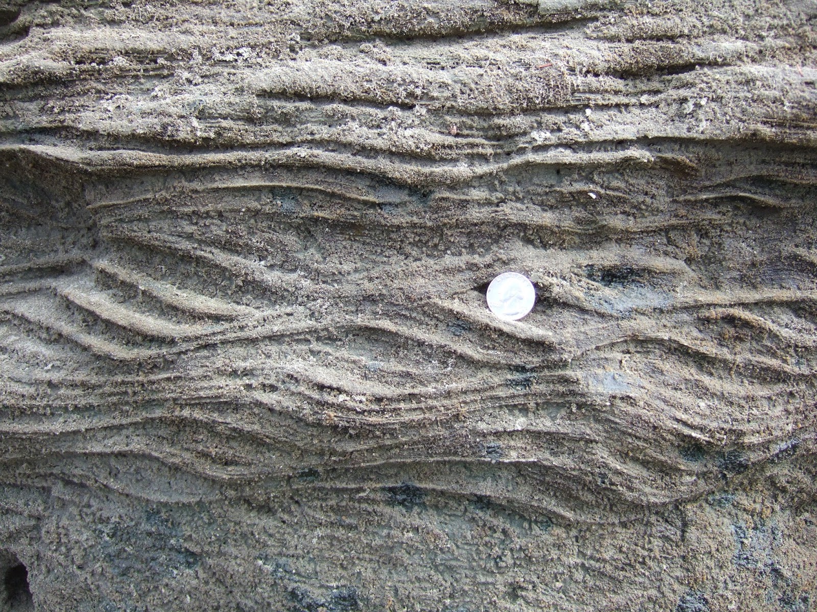 Reading the Washington Landscape Ripple Cross Sections Near Port Townsend