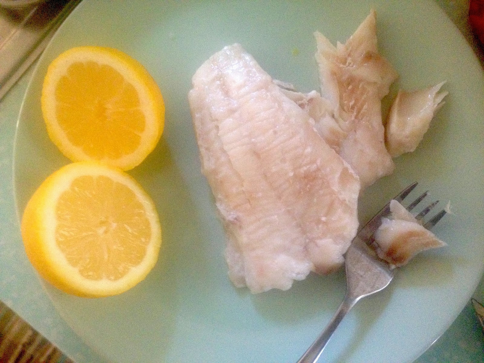 somerville kitchen Lunch with Catsess