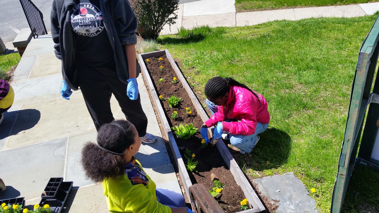 Jersey City Youth Corps