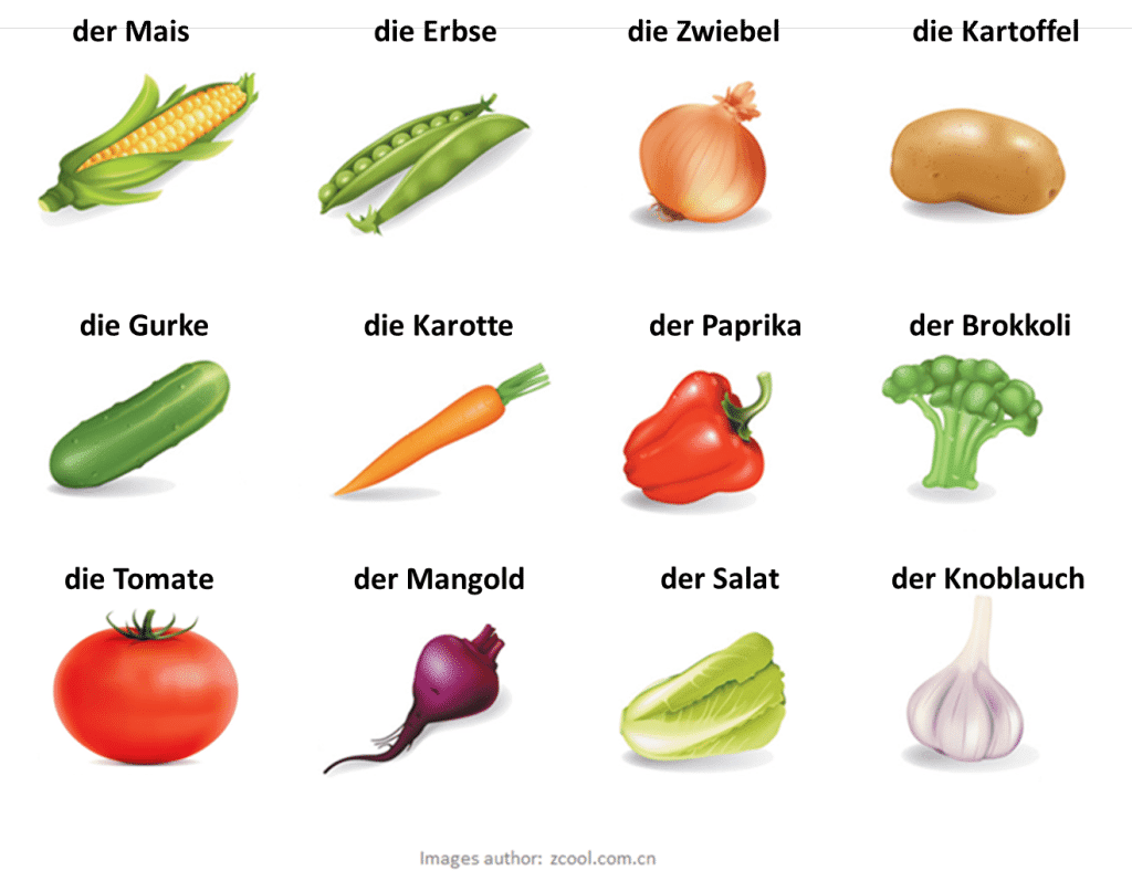 Deutsch Lernen Gemüse für kindergarten Für Kinder