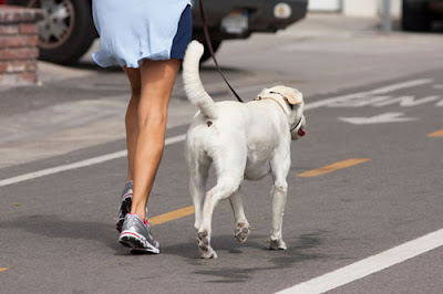lady walking dog