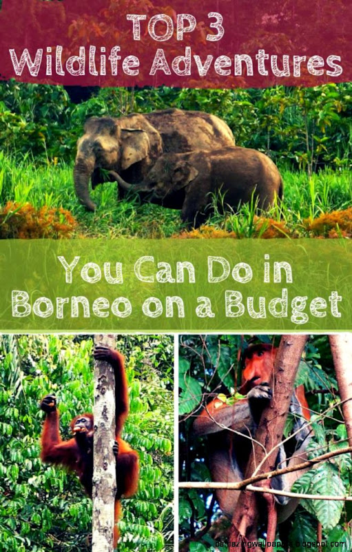 118522171015770038441854