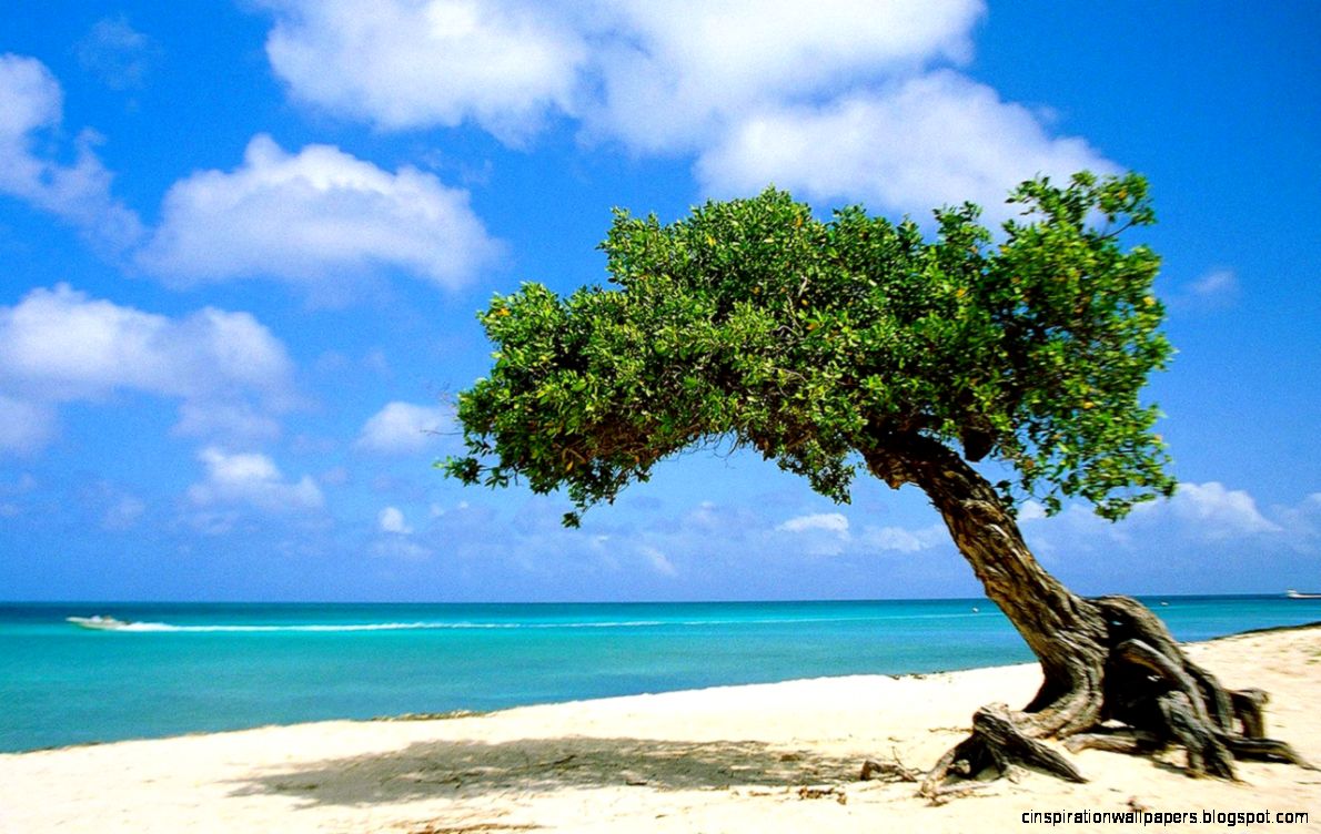 beach in aruba desktop wallpaper hd desktop wallpapers free to