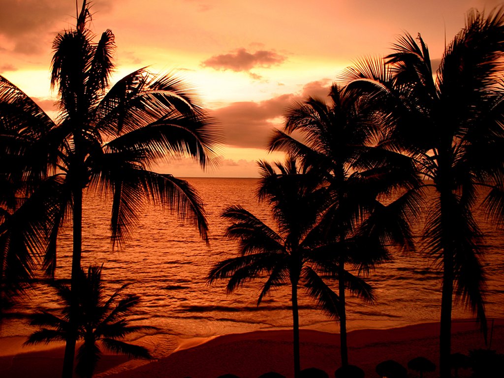 Tropical Beach Sunset Pictures Just For Sharing