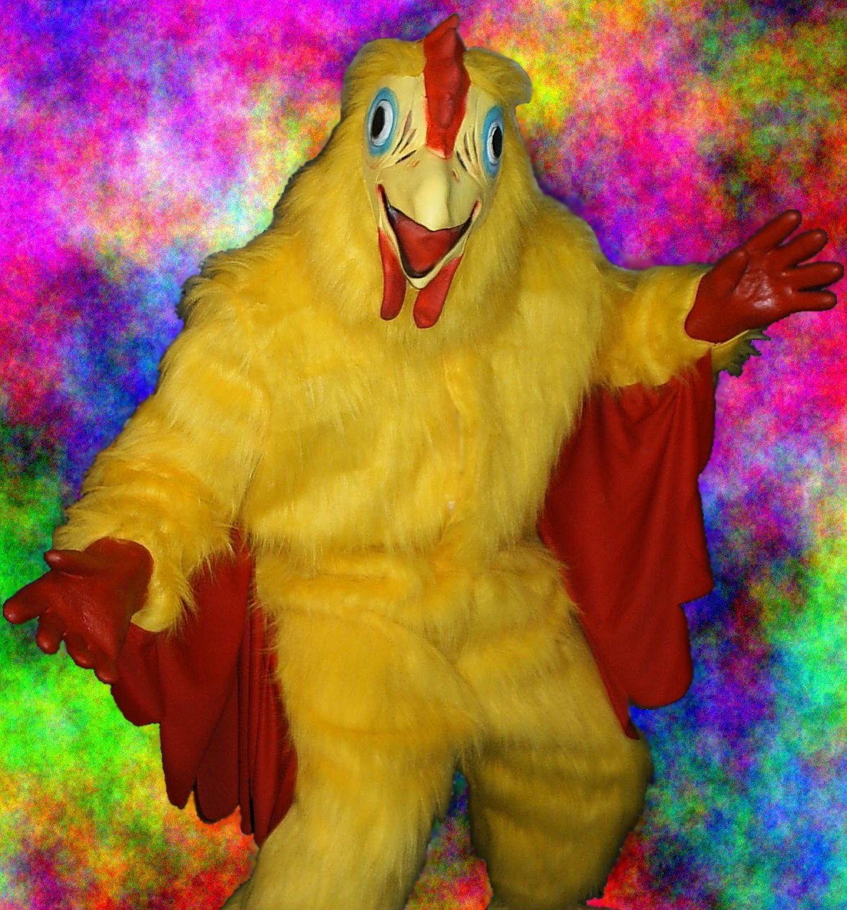 http://3.bp.blogspot.com/-ezh7WcBsimk/TbLnxGYGVSI/AAAAAAAAAlE/jBQFrIxsybk/s1600/Chicken_suit1.jpg