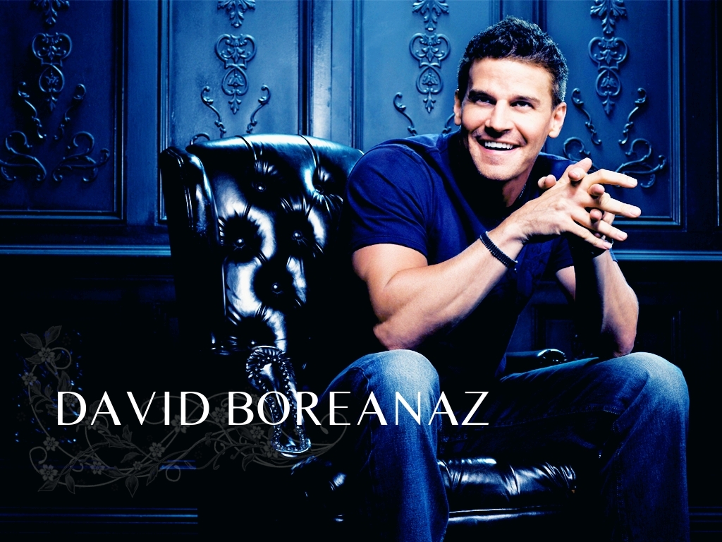 http://3.bp.blogspot.com/-ezw4iOxaCgY/TmOQ-NGEWcI/AAAAAAAAAys/eSwLGQdBNnQ/s1600/bones_david_boreanaz_blue_desktop_www.Vvallpaper.net.jpg