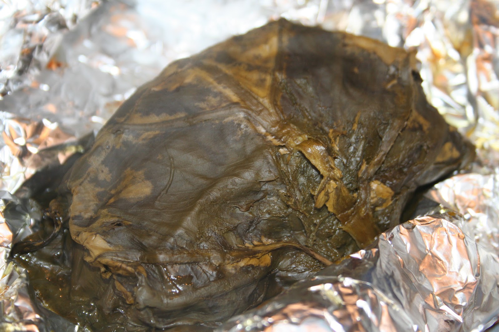 COOK WITH SUSAN Oven Lau Lau