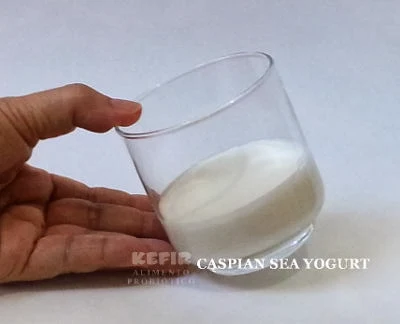 Vire delicadamente o copo com Caspian SEa Yogurt, ele deve dicar firme no lugar.