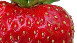 Buah Strawberry Membuat Kulit Mulus Putih Merona Buah strawberry memutihkan kulit