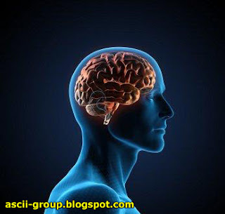 أربع مسببات للسكتة الدماغية عند الرجال Stroke in men أربع مسببات للسكتة الدماغية عند الرجال Stroke in men