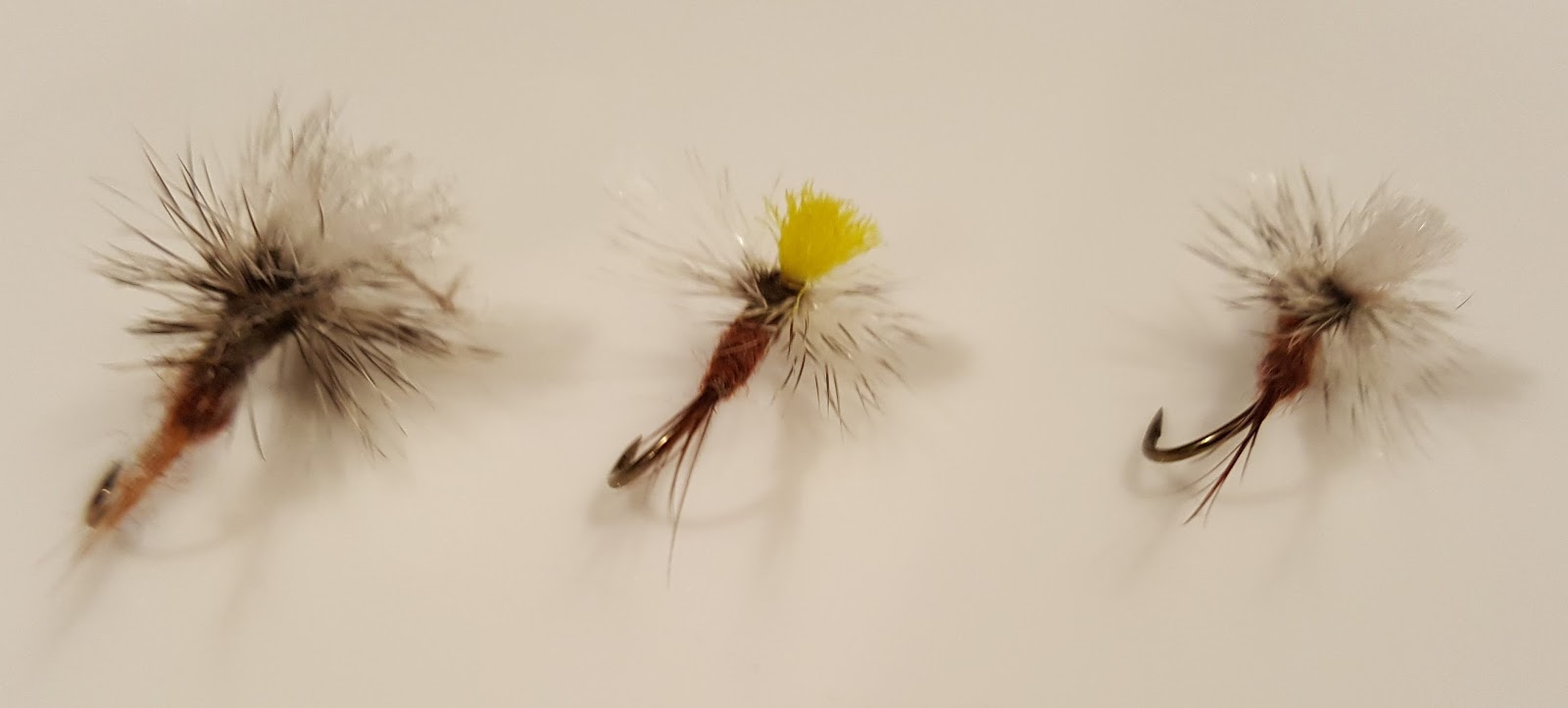 Novice Fly Fisherman Central Virginia Small Fish, Big Tales RainX