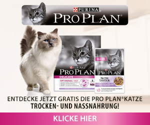 Gratis für Deine Katze: Kostprobe von PRO PLAN® DELICATE!