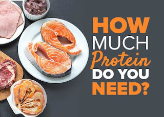 How much Protein do we need to build Muscles?
