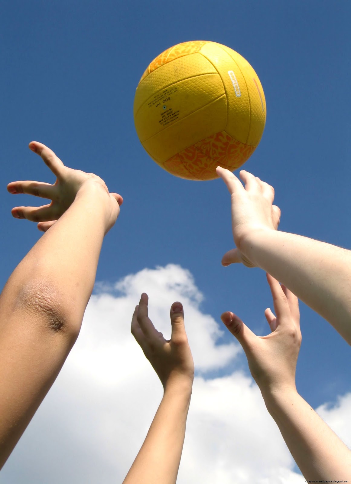 Sand Volleyball Championships