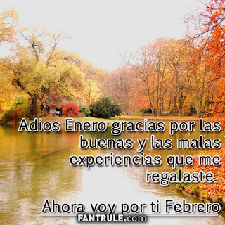 imagenes adios enero frases buenas experiencias