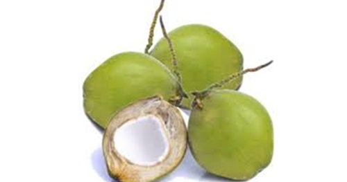 Mimpi Makan Buah Kelapa Togel Syair 234 Jitu