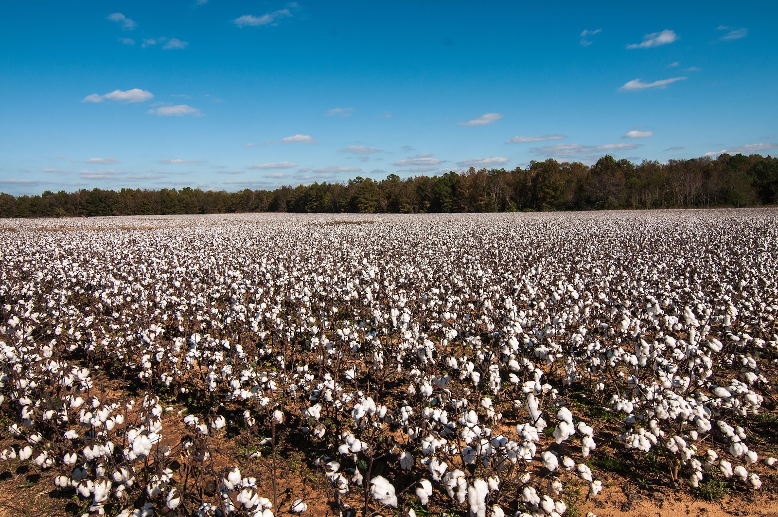 Finding Jerry and Mary Gasburg, Virginia