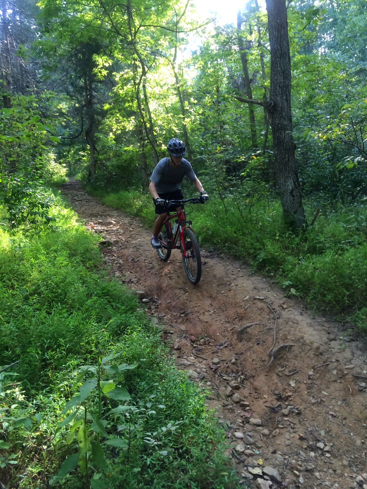 Woodberry Forest Outdoor Education: WFS mountain bike team rides at ...