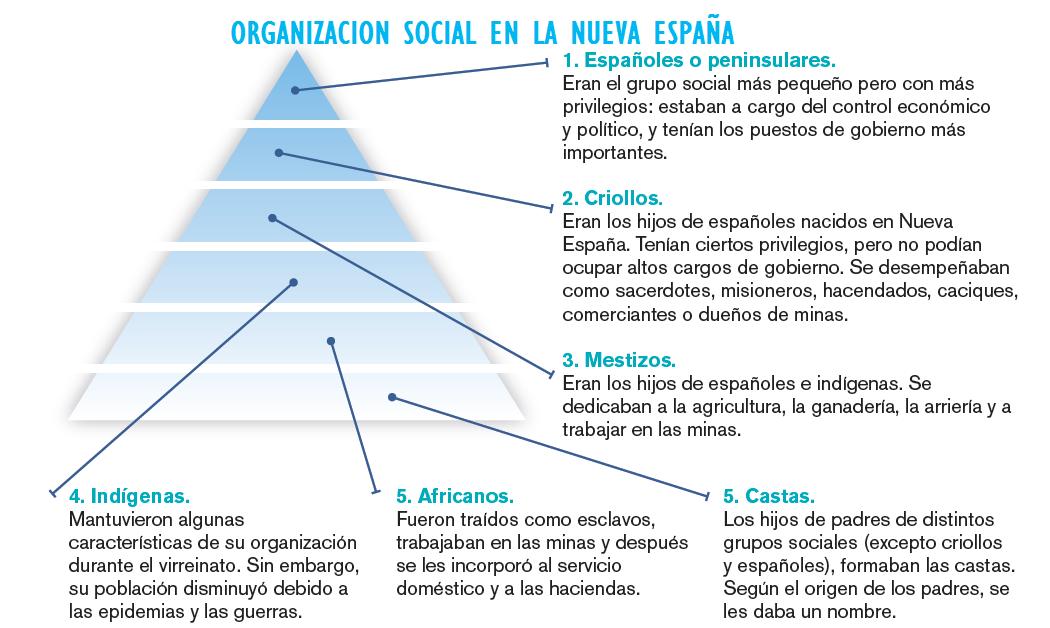 LA LITERATURA EN LA NUEVA ESPAÑA Organizacion social LA LITERATURA EN LA NUEVA ESPAÑA Organizacion social