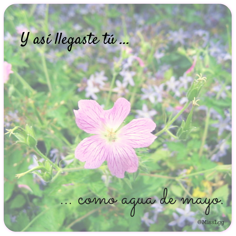 Hola mayo. Así llegaste tú, como agua de mayo. Frases. Primavera