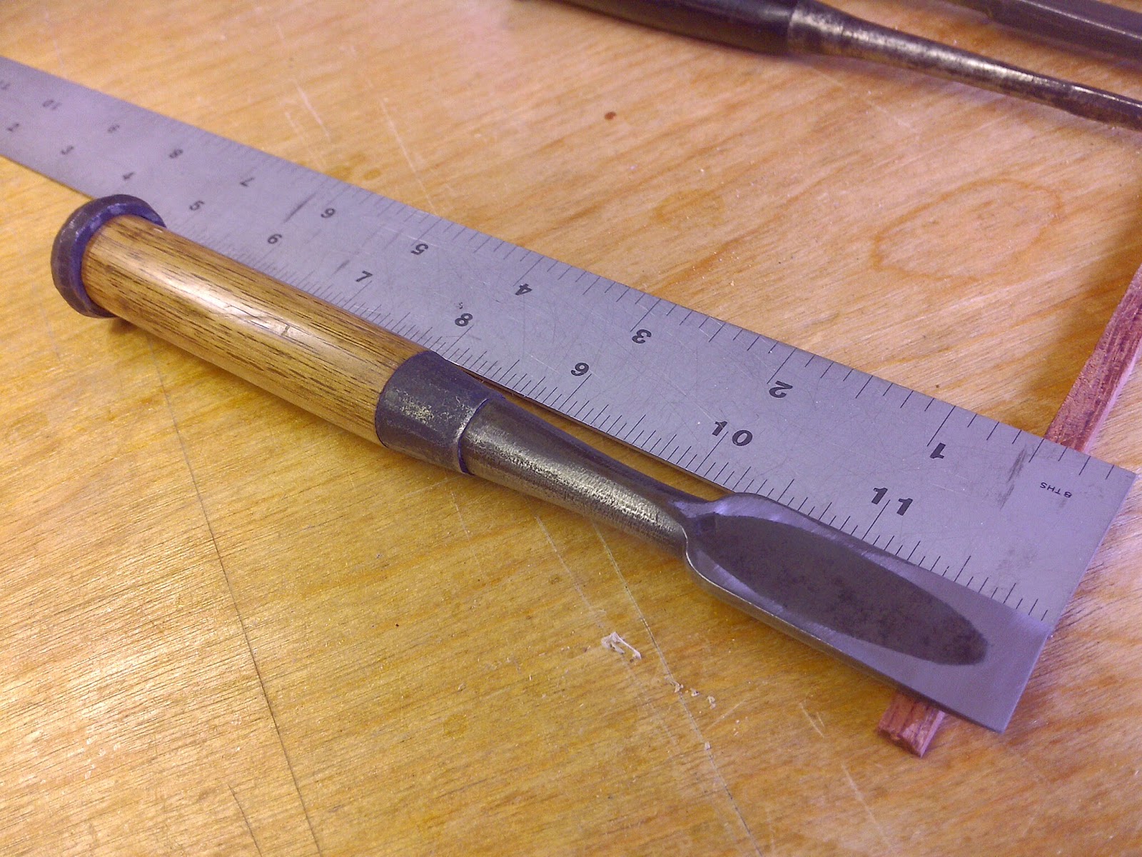 My peculiar nature Chisel rehab/therapy