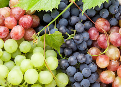 Grapes for healing the wound faster