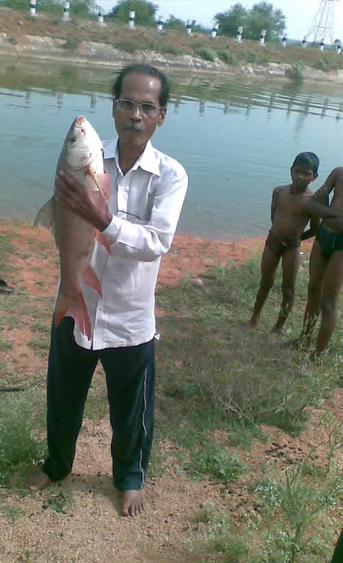 Deccan AnglerLatest fishing reports Fishing trips Fishing tackle