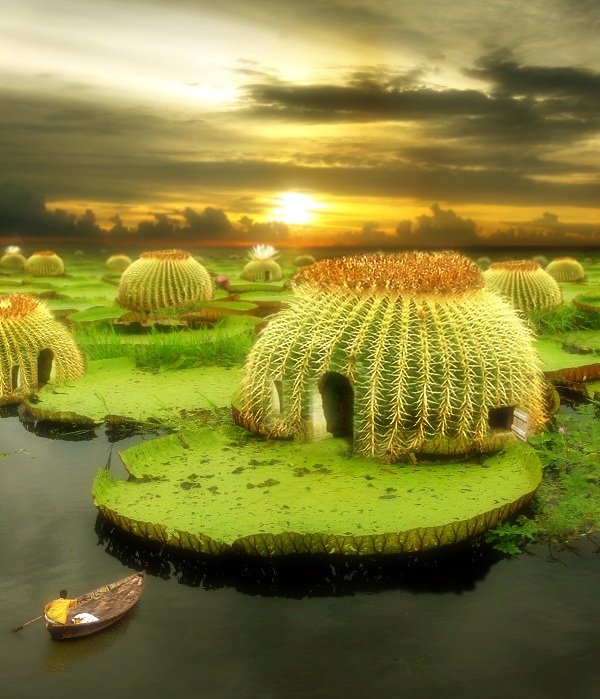 yaratıcı fikirler ilginç evler,farklı tasarımlar.