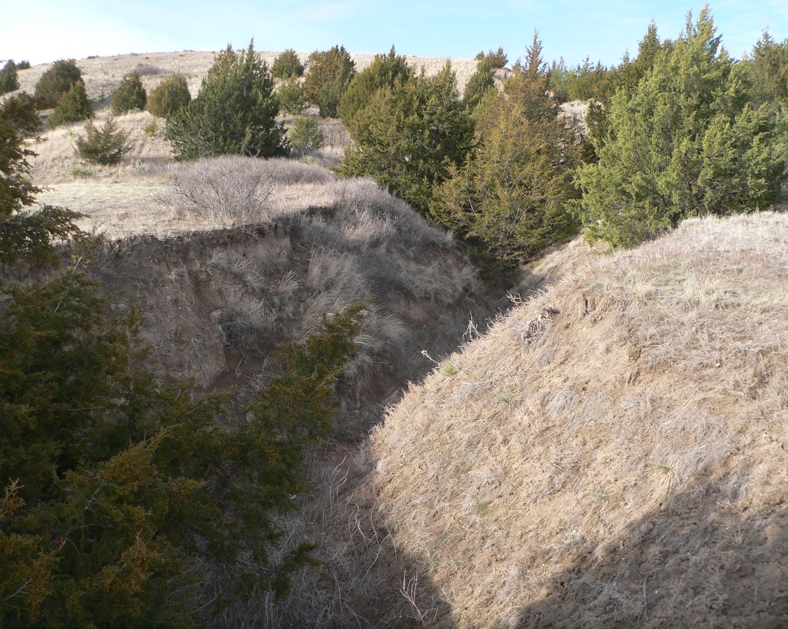 Heroes, Heroines, and History Ash Hollow by Way of Windlass Hill