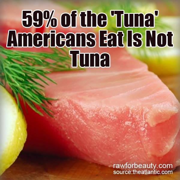 Natural Cures Not Medicine 59 of the Tuna Americans Eat is Not