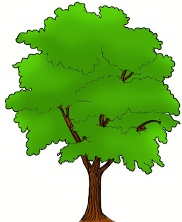 gambar ranting pohon
