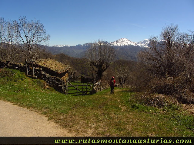 Atajo bajando de la Ermita del Alba