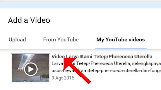 Cara Upload Video Youtube dari Video Youtube Hasil Upload Sendiri