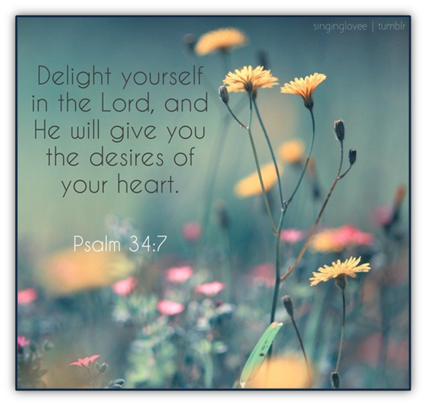 California Cal s Commentary Delight In The Lord california-cal-s-commentary-delight-in-the-lord