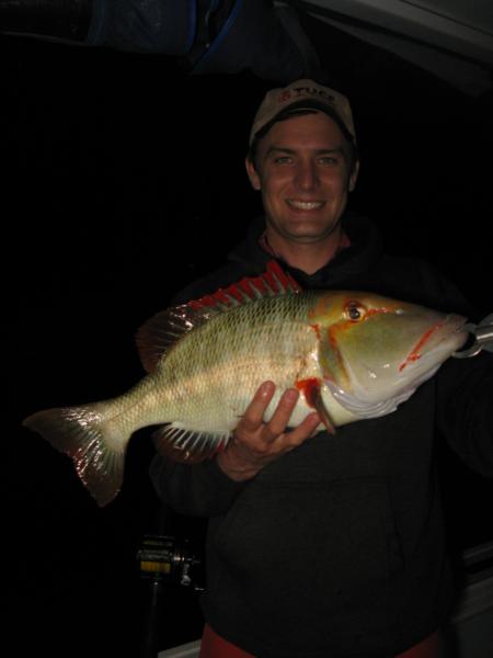 Alchemy Fishing: Reef and Offshore Fishing