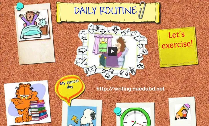 My Daily Routine - Essay