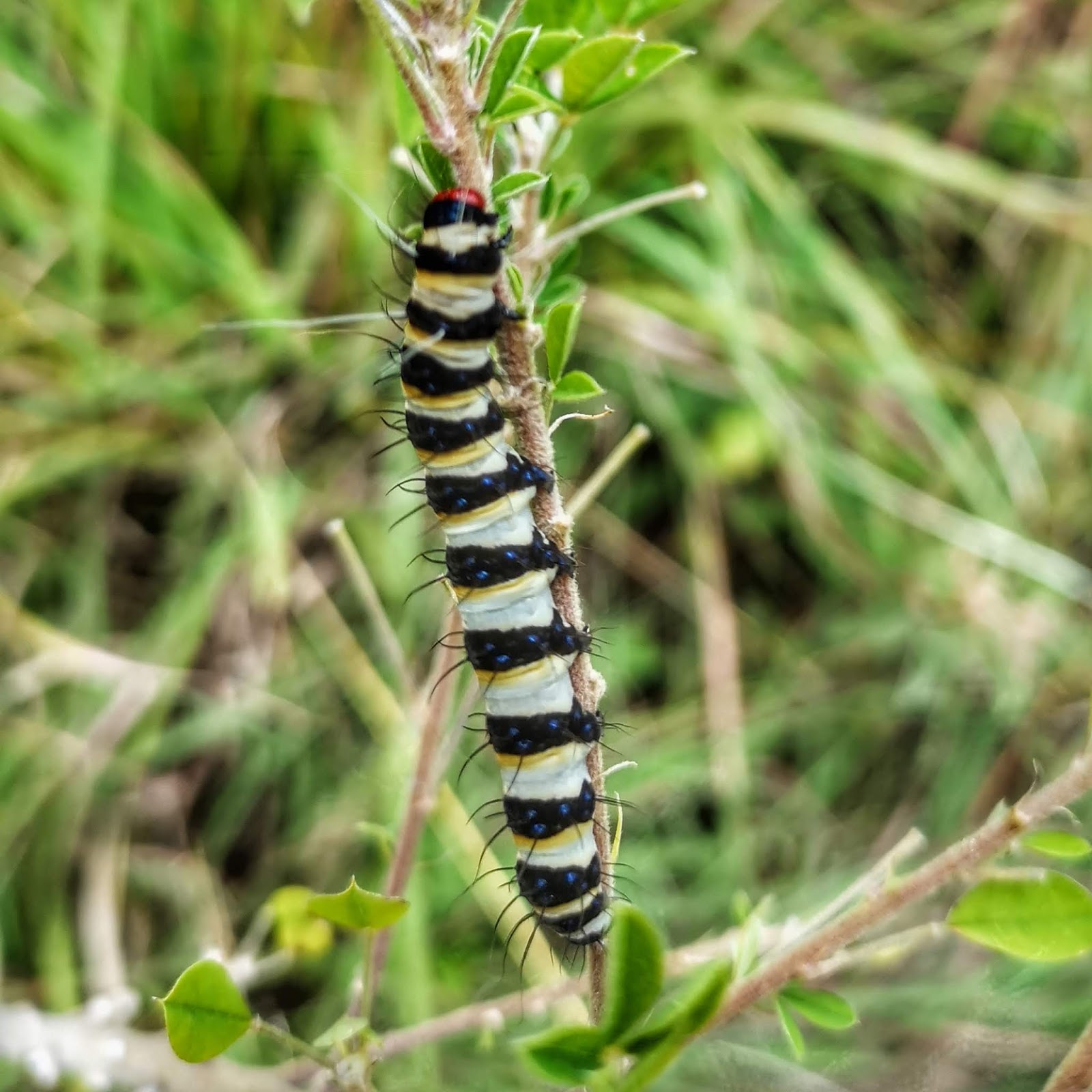 Wanderung am Mount Kadam Tag 1 Michi um die Welt
