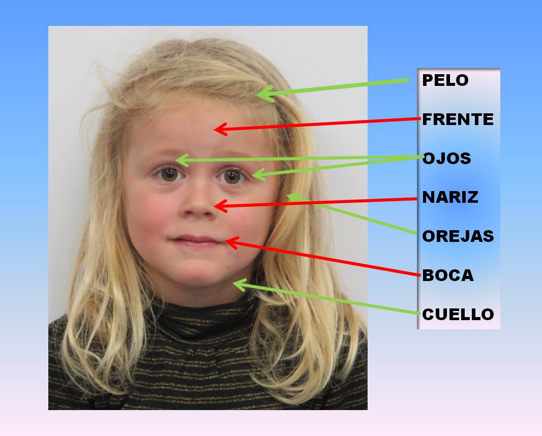 LA PIZARRA MÁGICA: CONOCEMOS NUESTRO CUERPO(II): LA CABEZA.
