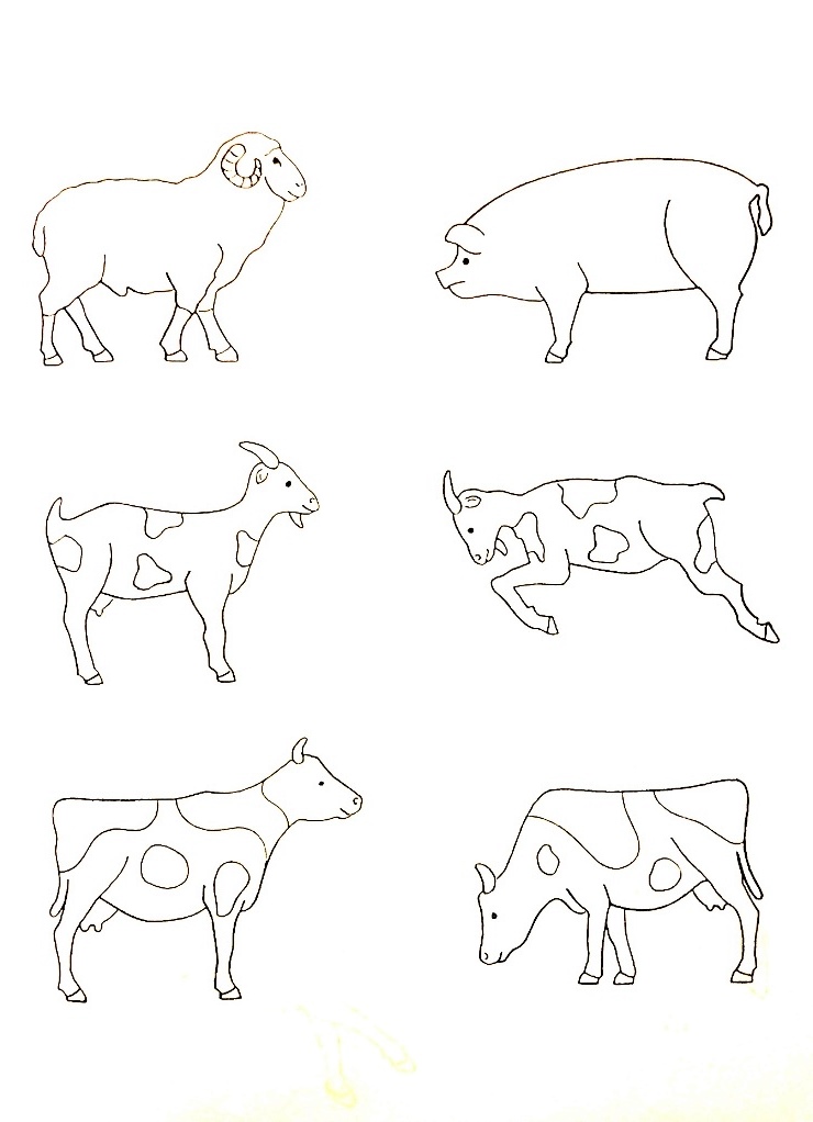 Animali della fattoria - materiale didattico - disegno da  stampare e colorare